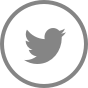 btesols twitter image